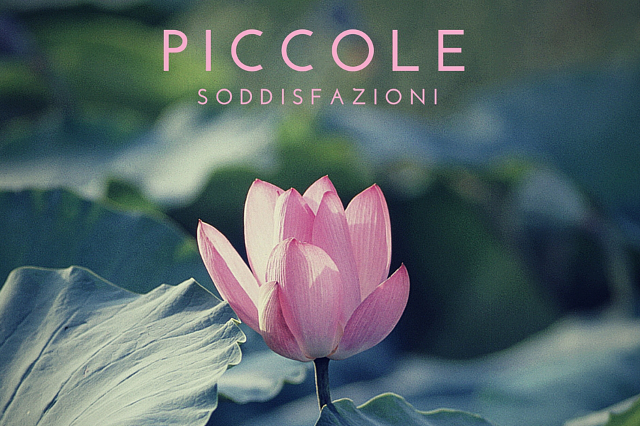 Piccole soddisfazioni letterarie - photo Unsplash via Canva.com