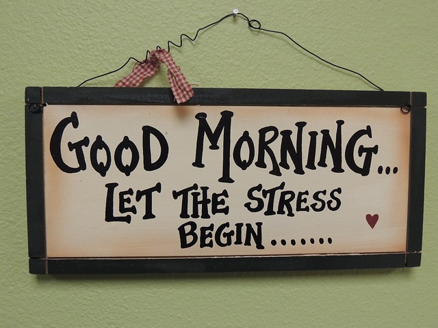 Let the stress begin
