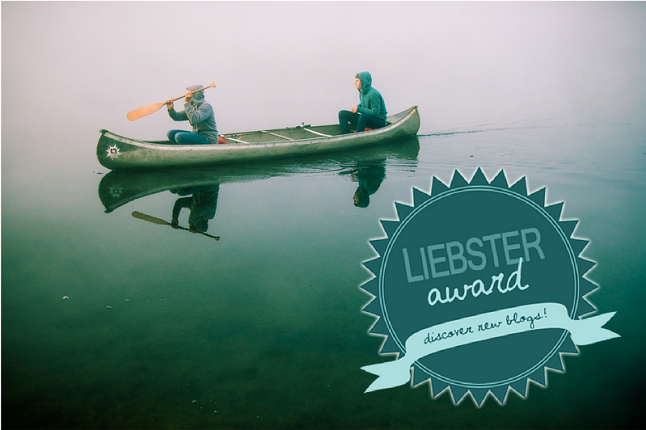 Secondo Liebster Award 2016