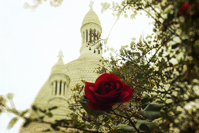 Thriller Paratattico in rosa: Arrivederci Montmartre