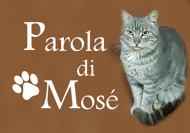 Parola di Mosè Parola di Mosè (il gatto, non il predicatore)